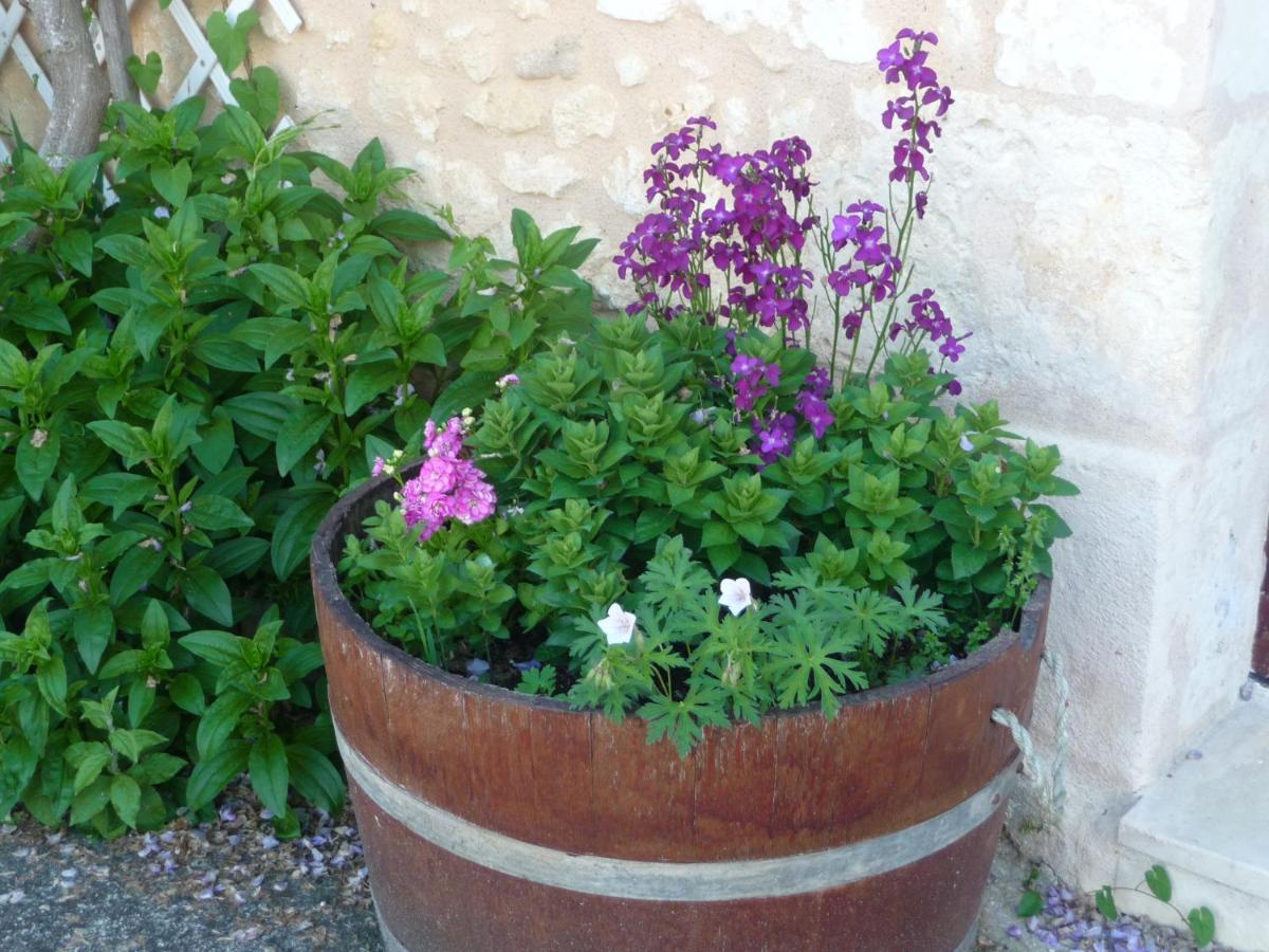 Les Tuileries Bed & Breakfast Ponteyraud ภายนอก รูปภาพ